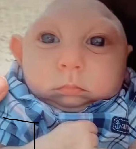 Jake Boteko Baby, Jake Boteko, Jank Boteko, Shin Yttd, Barbie Bibble Memes, Xbox Pfps, Eli Core, Big Nose Memes Funny, Bald Memes Hilarious