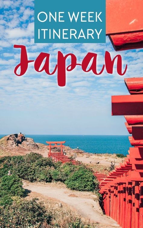 A one week (7 day) itinerary for Japan in a Nutshell, from Tokyo to Yamaguchi One Week Itinerary, 7 Day Itinerary, Japan Travel Destinations, Japan Temple, Japan Map, Japan Itinerary, Japan Vacation, Japan Travel Tips, Japan Travel Guide