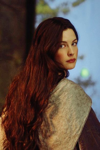 Arwen Undomiel, Lord Of Rings, Sherilyn Fenn, Lotr Elves, Frodo Baggins, Epic Movie, Tauriel, Liv Tyler, Thranduil