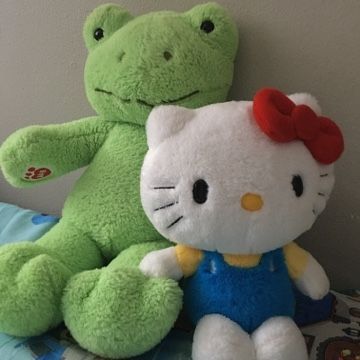 Hello Kitty Stuffed Animal Aesthetic, Stuff Animals Aesthetic, Frog Plushie Aesthetic, Hello Kitty Plush Aesthetic, Hello Kitty Stuffy, Hello Kitty Plushies Aesthetic, Cute Hello Kitty Aesthetic, Stuffed Animal Aesthetic, Hello Kitty Pics