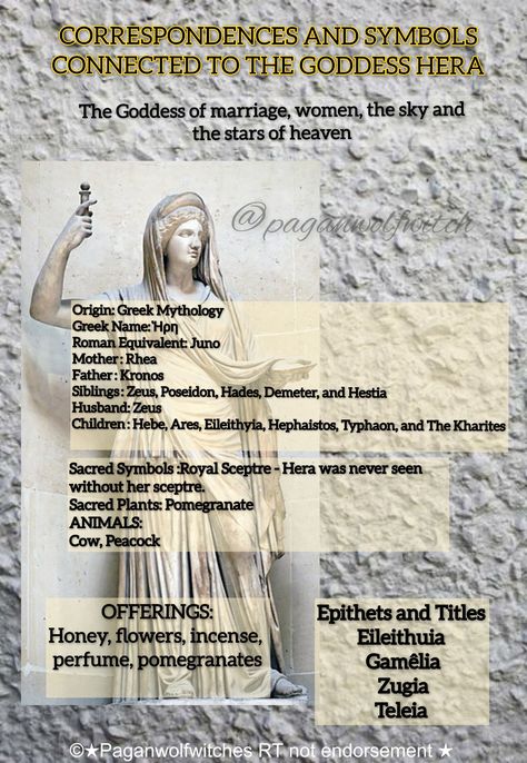 Correspondences and Symbols Connected to the Goddess Greek Hera #mythologymonday Symbols Of Hera, Hera Goddess Symbol, Pandora Goddess, Persephone Goddess Correspondences, Athena Correspondences, Goddess Information, Hera Goddess Offerings, Hera Greek Goddess, Deity Worship