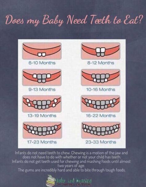 Baby Teeth Chart, Baby Teething Chart, Baby Tooth Chart, Teeth Chart, Teething Chart, Vom Avea Un Copil, Baby Chart, Baby Trivia, Baby Feeding Chart