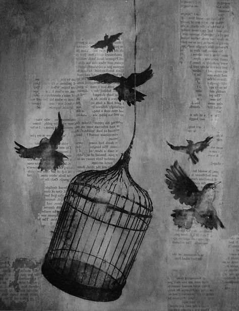 Bird Cage Drawing, Birdcage Drawing, Cage Drawing, Illustrations Tattoo, Sparrow Drawing, Birdcage Tattoo, Bird In A Cage, Cage Tattoos, Black Bird Tattoo