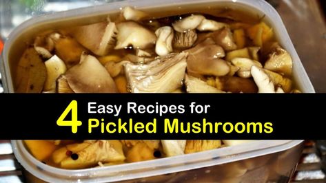 4 Easy Recipes for Pickled Mushrooms Pickled Mushrooms Recipe, Marinated Mushrooms Recipe, Cooked Mushrooms, Mushroom Marinade, Pickled Mushrooms, Pickled Green Beans, Marinated Mushrooms, Stuffed Portabella Mushrooms, How To Cook Mushrooms