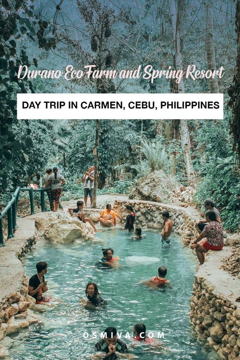 Day Use at the Durano Eco Farm and Spring Resort in Carmen, Cebu, Philippines. Your guide to a day trip to the Cold Spring in Carmen. What to do, things to bring, how to get here and rates when you visit. #travelguide #travelph #cebuphilippines #duranoecofarm via @osmiva Travelling Asia, Asian Destinations, Beautiful Philippines, Eco Farm, Plan A Day, Travel Philippines, Adventurous Travel, Asian Travel, Cebu Philippines