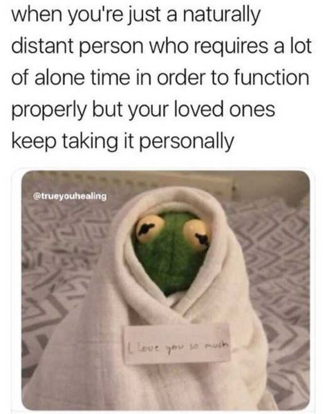 101 I Love You Memes - "When you're just a naturally distant person who requires a lot of alone time in order to function properly but your loved ones keep taking it personally." Love You Meme, Kermit Funny, Behind Blue Eyes, Introvert Humor, Alone Time, L Love You, Memes Humor, Really Funny Memes, Funny Laugh