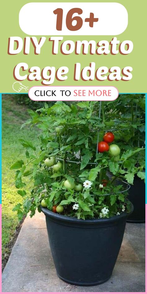 Elevate your tomato plants with creative DIY tomato cage ideas that add both support and charm to your garden. Use wooden stakes and wire mesh to construct sturdy cages for your growing tomatoes, or repurpose old wire hangers for a budget-friendly alternative. By implementing these homemade tomato cages, you'll promote healthier plants while giving your garden a practical and aesthetic boost. Get crafty and witness your tomatoes thrive in style! Diy Home Garden, Grow Tomatoes, Diy Plant Stakes, Mini Rock Garden, Cherry Tomato Plant, Fall Landscaping, Mailbox Landscaping, Tiered Planter, Chinese Money Plant