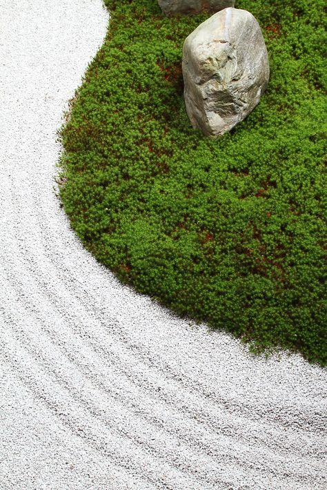 Dry Landscape, Zen Landscape, Zen Sand Garden, Japanese Rock Garden, Japanese Style Garden, Zen Rock Garden, Zen Philosophy, Zen Rock, Zen Garden Design