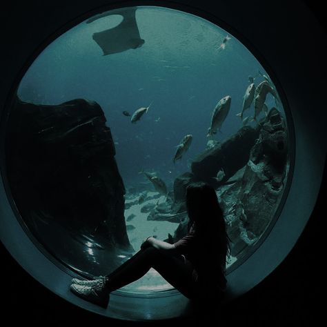 Aquarium Aesthetic, Aquarium Pictures, Georgia Aquarium, Pinterest Aesthetic, Japanese Aesthetic, Cinematic Photography, Flash Photography, Pose Reference Photo, Film Aesthetic