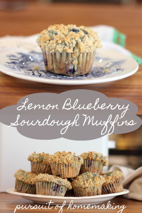 Blueberry Sourdough Muffins, Lemon Blueberry Sourdough, Quick Blueberry Muffins, Blueberry Sourdough, Lemon Blueberry Muffins Recipe, Sourdough Muffins, Easy Sourdough Bread Recipe, Recipe Using Sourdough Starter, Sourdough Bread Starter