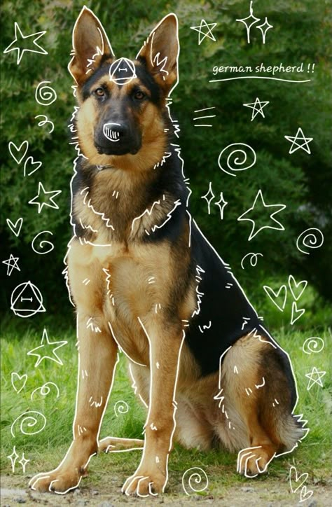 Canine Therian, German Shepherd Aesthetic, King German Shepherd, Therian Ideas, Therian Art, Therian Pfp, Therian Mask Ideas, Therian Masks, Therian Mask