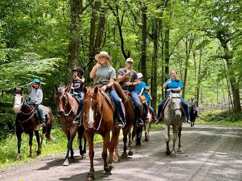 Horses always have more to teach us. If we're not being taught directly by the horses, we're learning as we navigate things WITH our horses. This is especially true when you're trail riding. Things can get interesting quite quickly! Here are six life lessons learned on the trail: English Horseback Riding, Asahiyama Zoo, Trail Riding Horses, Horseback Riding Trails, Mountain Bike Tour, Horse Trail, Horse Dressage, Riding Lessons, All About Horses