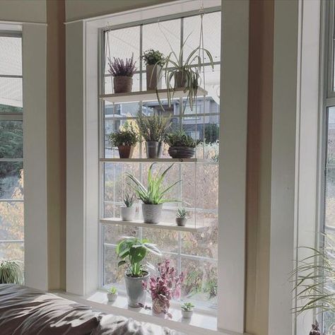 Plant Hanger Window, Window Shelf Ideas, Bay Window Plants, Shelf For Plant, Shelf In Bedroom, Window Plant Shelf, Window Shelf, Window Plants, Window Shelves