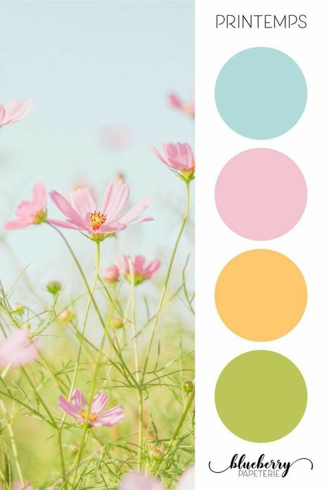 Green Blue Purple Color Scheme, Pink Orange Yellow Blue Green Color Palette, Paleta Candy Colors, Nutrition Color Palette, Yellow Palette Colour Schemes, Color Palettes Aesthetic, Sunshine Color Palette, Easter Color Palette, Candy Color Palette