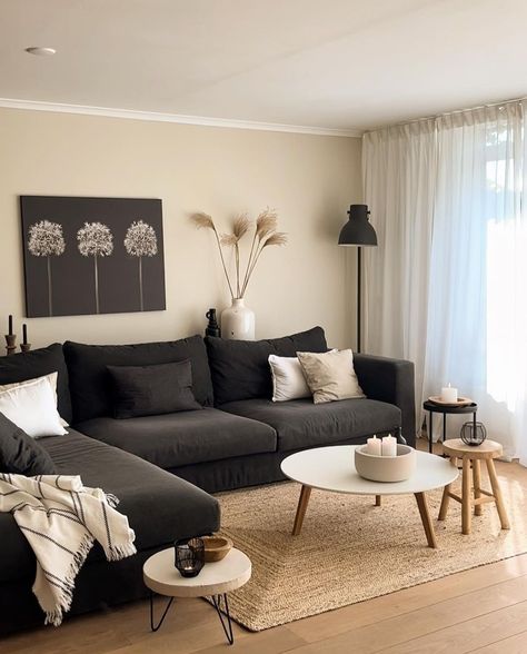 Black Couch Living Room, Dark Grey Couch Living Room, Grey Sofa Living Room, Grey Couch Living Room, Living Room Decor Gray, Apartment Living Room Design, Black Living Room, Small Living Room Decor, Home Design Living Room