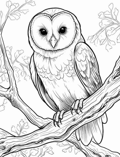 Barn owl on the branch Traceable Coloring Pages, Owl Colouring Picture, Printable Animals Templates, Owl Coloring Pages Free Printable, Owl Patterns Free Printables, Colouring Pages For Adults Printable Free, Woodburning Patterns Free Printable, Bee Coloring Pages Free Printable, Owls Coloring Pages