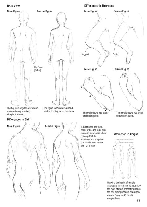 Art Reference Poses Back View, Character Drawing Back View, How To Draw Back View Person, Back View Of Person Reference, Person With Back Turned Reference, Front Side Back View Character Base, How To Draw Body Back View, Character Back View Reference, Person Looking Up Reference Back View