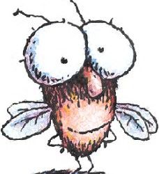 How to Draw: Fly Guy Children's Book Characters, Apple Unit, Childhood Stories, Fly Guy, Book Week Costume, Drawing Journal, Events Activities, Well Read