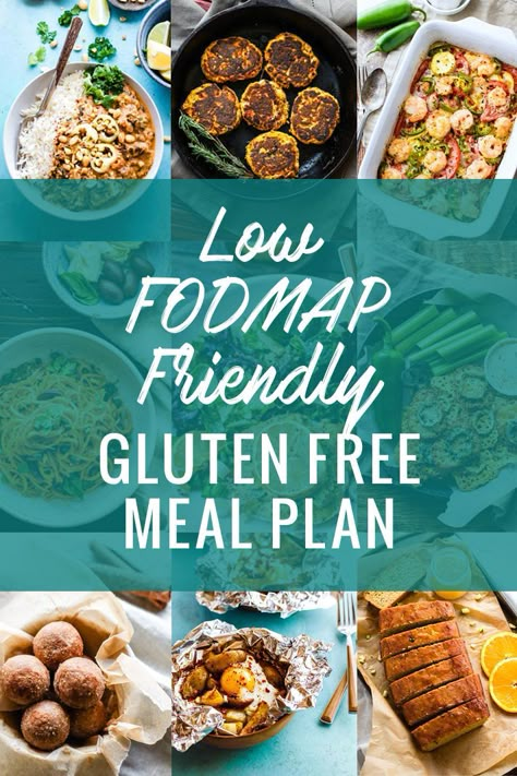 1200 Calorie Diet Meal Plans, Low Fodmap Recipes Dinner, Gluten Free Low Fodmap, Fodmap Recipes Dinner, Fodmap Meal Plan, Fodmap Friendly Recipes, Fodmap Snacks, Fodmap Meals, Low Fodmap Foods