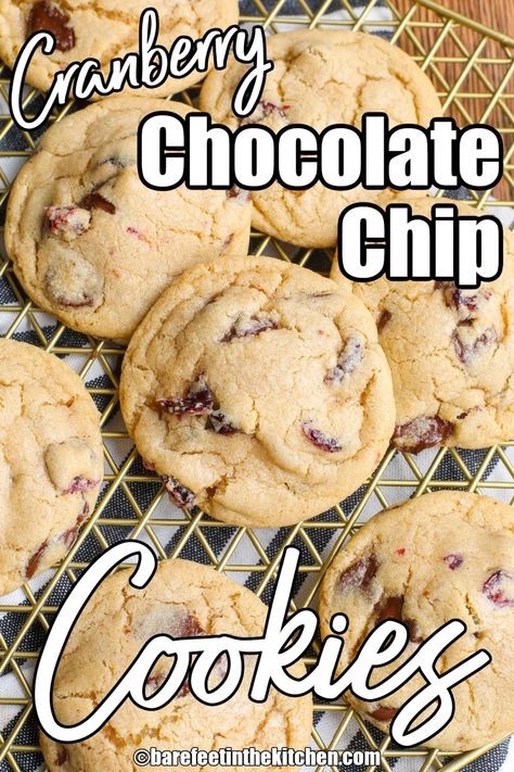 Cranberry Chocolate Chip Cookies Choclate Chip Cookie Recipe, Cranberry Chocolate Chip Cookies, Craisin Cookies, Dried Cranberries Recipes, Cranberry White Chocolate Chip Cookies, Chocolate Cranberry Cookies, Cranberry Cookies Recipes, Cranberry Chocolate, Oatmeal Cranberry Cookies