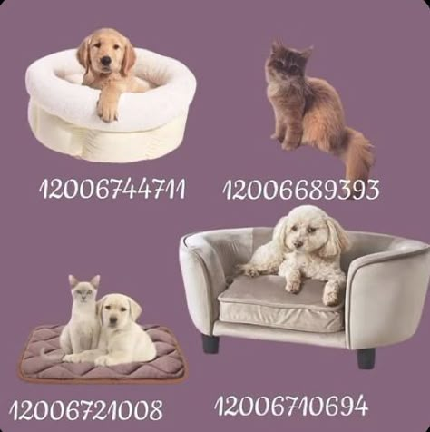 Stitch Decals Bloxburg, Bloxburg Cat Decal Codes Realistic, Bloxburg Pets, Cat Decals Bloxburg, Bloxburg Pet Decals, Bloxburg Dog Decal Codes, Bloxburg Halloween, Micro Lady Dior, Bloxburg Food Decals