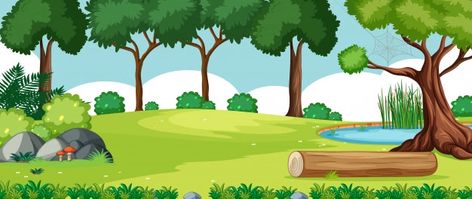 Nature Background Landscape, Wood Cartoon, Jungle Cartoon, Empty Background, Forest Cartoon, Cartoon Garden, Background Landscape, Jungle Illustration, Dense Forest