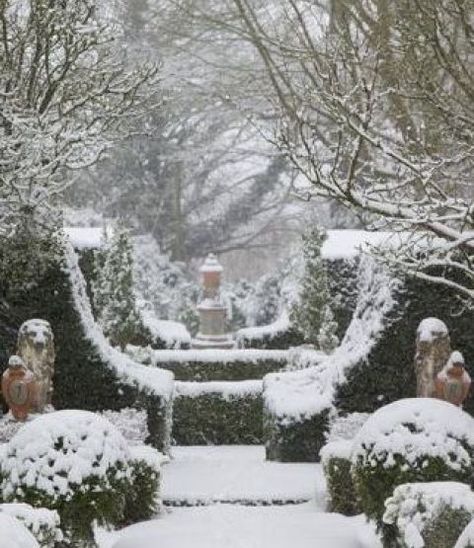 PatioZen: The Winter Garden | OutsideModern Garden Formal, Formal Garden Design, Evergreen Hedge, Temple Gardens, Topiary Garden, British Garden, Formal Garden, Covered Garden, House Of Beauty