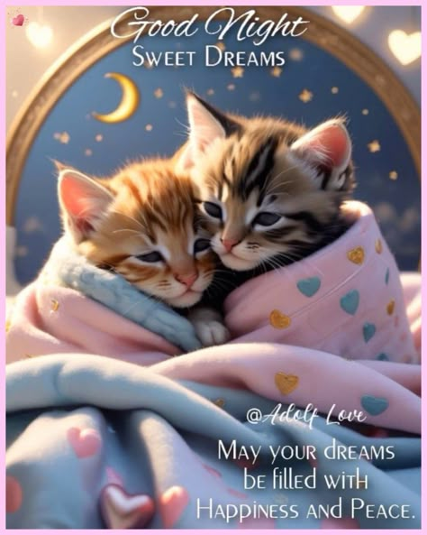 Good Night Hug, Good Night Love Pictures, Goodnight Sweet Dreams, Super Cute Kittens, Good Morning Cat, Good Night Cat, Good Night Prayer Quotes, Good Morning Snoopy, Beautiful Good Night Quotes