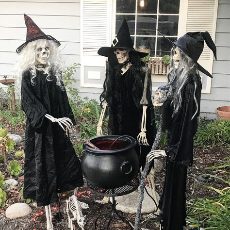 Amazing Halloween Yard Displays, Halloween Porch Ideas Skeletons, Skeleton Dressed As A Witch, Fun Halloween Yard Displays, Halloween Skeleton Posing Ideas, Witch Outdoor Decoration, Skeleton Witch Decorations, Skeleton Poses For Halloween, Skeleton Witches Halloween