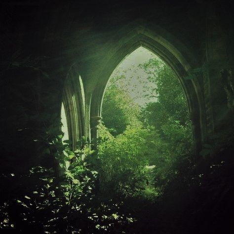 Ruins Aesthetic Forest, Dark Sage Aesthetic, Green Medieval Aesthetic, Scary Green Aesthetic, Nature Magic Aesthetic, Overgrown Aesthetic, Shadow Symbol, Green Academia, Forest Elf