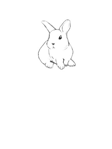 Rabbit Outline Tattoo, Simple Bunny Tattoo, Tiny Bunny Tattoo, Hase Tattoos, Soft Tattoo, Unique Small Tattoo, Bunny Tattoos, Rabbit Tattoos, Small Pretty Tattoos