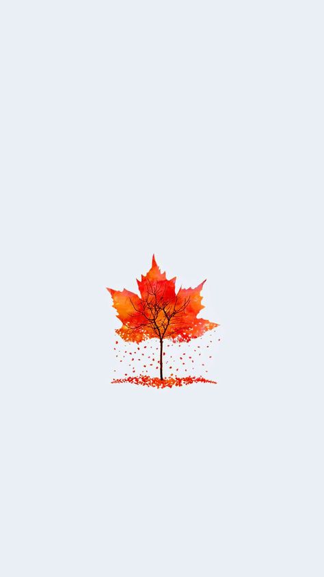 Maple Leaf Aesthetic, Maple Leaf Wallpaper, Maple Wallpaper, Maple Leaf Art, Full Hd Wallpaper Download, Minimalist Wallpaper Phone, Unique Iphone Wallpaper, Kaedehara Kazuha, Canada Maple Leaf