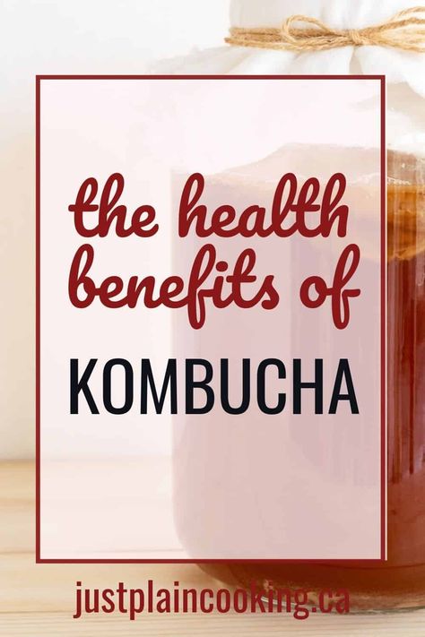 Kombucha Health Benefits, Benefits Of Kombucha, Kombucha Benefits, Kombucha Recipe, Calendula Benefits, Kombucha Tea, Fermented Drink, Fermented Foods, Healthy Gut