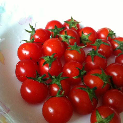 Baby tomatoes Baby Tomatoes, Kids Lunch, Sweet Stuff, Tomatoes, Collage, Pins