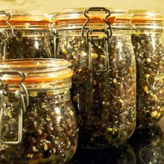 How to make homemade fermented black soybeans for Asian dishes and black bean sauce. Korean Soy Sauce, Fermented Beans, Fermented Black Beans, Fermented Vegetables Recipes, Vegan Info, Fermented Veggies, Soy Bean, Bean Sauce, Soy Beans