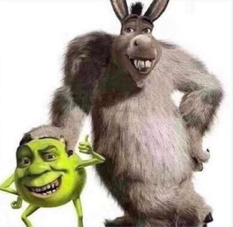 Shrek Funny, Shrek Memes, Cursed Stuff, Cursed Things, Weird Images, Lol Memes, Funny Profile, Six Feet Under, Funny Profile Pictures