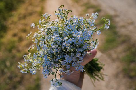 Me-Nots Bouquet Hand - Free photo on Pixabay Forget Me Not Seeds, What Hurts The Most, Flower Mural, Forget Me Not Flower, Flower Room, We Are Best Friends, Forget Me Nots, Community Gardening, Forget Me Not