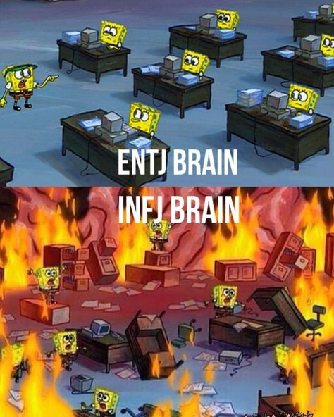 I laughed and then I cried Infp Confessions, Entj And Infj, Personalidad Infj, Infj Humor, Infj Problems, Psychology Resources, Infj Psychology, Intj And Infj, Infj Type