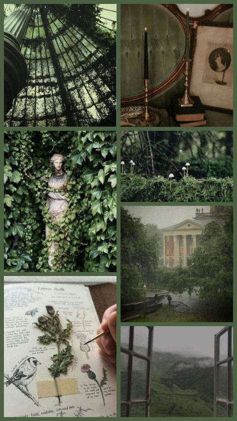 Green Academia Aesthetic, Practical Magic House, Green Academia, Dark Naturalism, Disney Princess Colors, Academia Aesthetics, Flower Sleeve, Slytherin Aesthetic, Best Friends Whenever