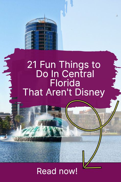 There are so many fun things to do in Central Florida! I’ve lived here since 2005, and I still have a few items on my Central Florida bucket list. In this article, I’ll share with you some of the things I’ve done, as well as the things I still want to do. To make these places easier for you to find and visit, I’ve grouped them according to county and included links to each one. Read Now! Things To Fo, Florida Bucket List, All About Elephants, Lake Eola, Mediterranean Style Home, Merritt Island, Silver Springs, Kayak Tours, Roadside Attractions