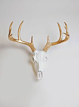 value of deer antlers Deer Skull Wall Mount, Animal Antlers, Deer Skull Decor, Deer Skull Mount, Faux Deer Head, Antler Wall Decor, White Faux Taxidermy, Deer Head Wall Decor, Antlers Decor