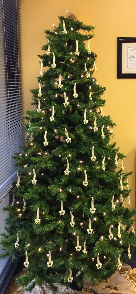 Our clinic chiropractic Christmas Tree.  We give away the spine keychains to our patients in December. Chiropractic Office Christmas Decorations, Chiropractic Christmas, Chiropractic Decor, Chiropractor Humor, Chiropractic Office Decor, Chiropractic Humor, Chiropractic Therapy, Benefits Of Chiropractic Care, Chiropractic Office Design