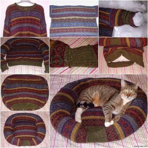 Katt Diy, Diy Cat Bed, Katt Grejer, Kat Diy, Diy Pet Bed, Recycled Sweaters, Old Sweater, Pet Ideas, Cat Beds