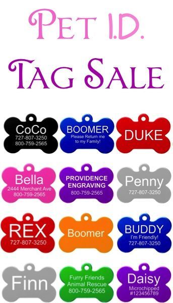 Engraved Pet ID Tag Sale: $3.45 + FREE shipping!!  {these tags are great for dogs and cats, and so many cute styles and shapes to choose from!} Dog Pitbull, Personalized Dog Tags, Cat Tags, Food Ingredients, Dog Id Tags, Id Tags, Dog Id, Pet Id Tags, Pet Tags