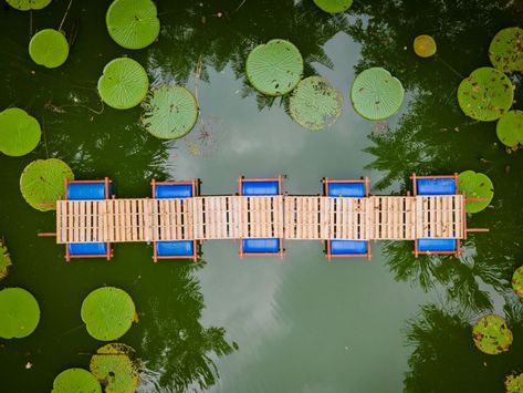 Gallery of Floating Bridges in Manaus / Colectivo Aqua Alta - 1 Floating Bridge, Beach Restaurant, Farm Stay, Public Library, Floor Plan, Floating, Bridge, Restaurant, How To Plan