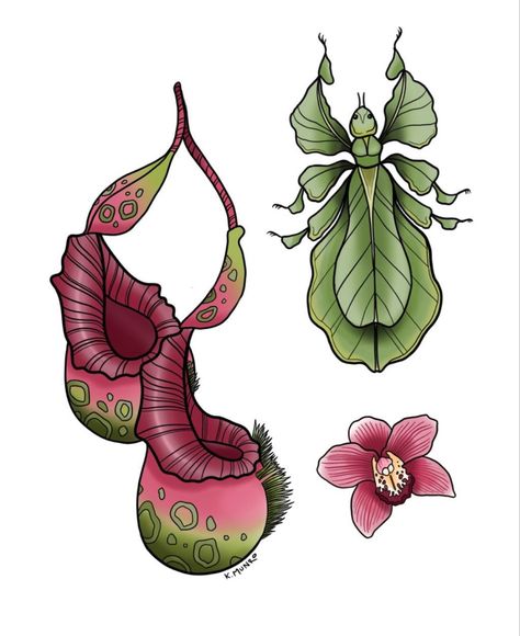 bug tattoo. flash tattoo. flower tattoo. floral tattoo. mantis tattoo. Leaf Bug Tattoo, Stick Bug Tattoo, Bug Tattoo Flash, Leaf Mantis, Pink Cutouts, Mantis Tattoo, Stick Bug, Plant Bugs, Tattoo Floral