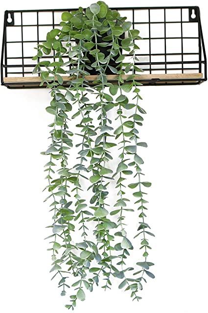 Hanging Plants Indoor Bedroom, Hanging Eucalyptus, Indoor Vines, Fake Ivy, Plant Display Ideas, Indoor Plant Wall, Artificial Plant Wall, Plant Wall Decor, Hanging Plant Wall