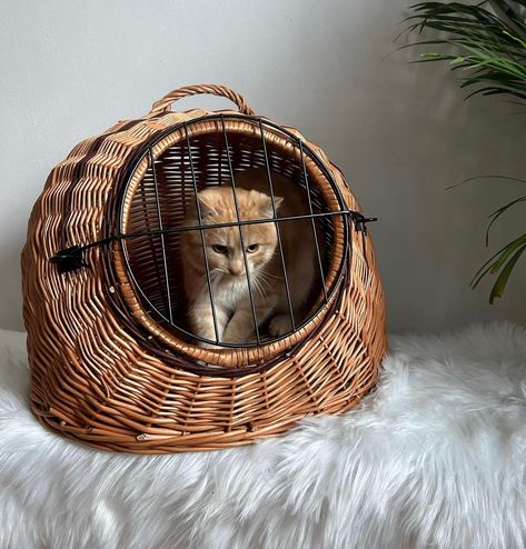 wicker pet carrier storage basket, cat and dog house indoor, handmade ecofriendly gift for pets, small dog carrier, pet bed, pets gift by WorldOfVines on Etsy Cat In Bike Basket, Dog House Indoor, Cat In Basket, Small Dog Carrier, Niche Chat, Pet Storage, Cat Basket, Pet Crate, Witch Cat