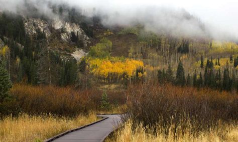 Big Cottonwood Canyon Scenic Drive | Utah.com Big Cottonwood Canyon Utah, Cottonwood Canyon Utah, Outdoor Magazine, Backcountry Skiing, Mountain Bike Trails, Scenic Byway, Drive Through, Ski Area, Salt Lake City Utah