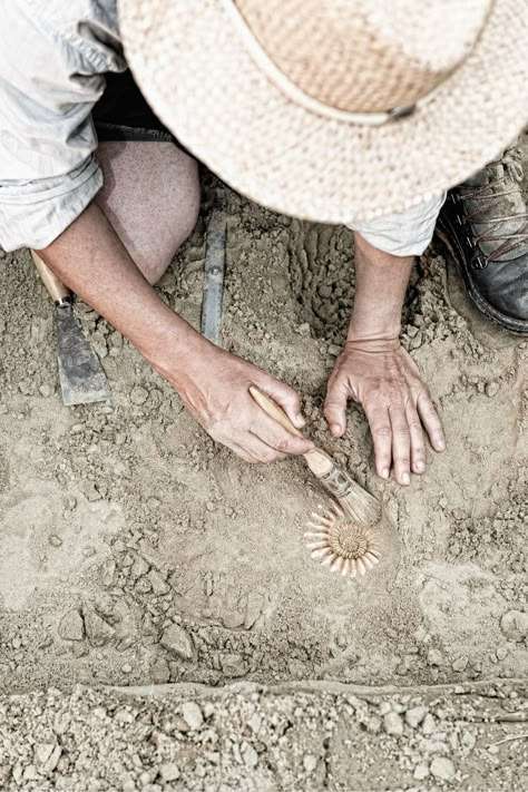 When you hear paleontology, your first thought might be - dinosaur fossils! You would technically be right, but paleontology encompasses a lot more than just finding and studying dinosaur fossils! According to the Paleontological Research Institute (PTI), “Paleontology is the study of the history of life on Earth as reflected in the fossil record.” Learn more about Paleontologists at the link! #paleontology #dinosaurs #playtolearn #playbasedlearning #learningthroughplay #handsonlearning History Of Life On Earth, Archaeology Dig, Job Inspiration, Stem Careers, Fossil Hunting, Career Vision Board, Missionary Work, Career Inspiration, University Life